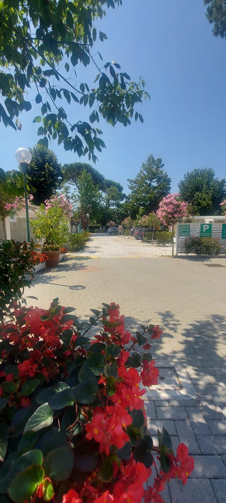 Life at Camping Partaccia 2