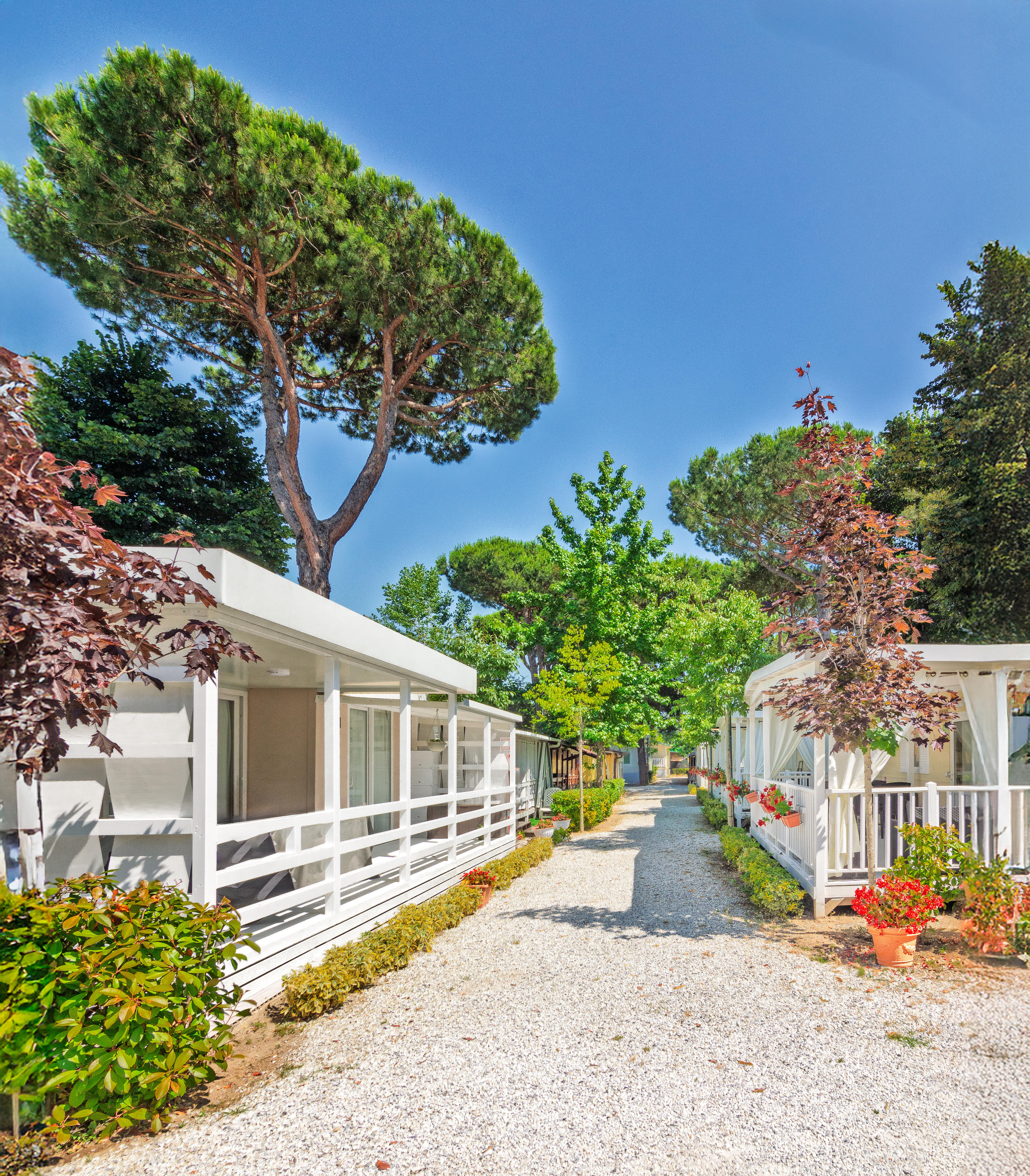 Life at Camping Partaccia 2